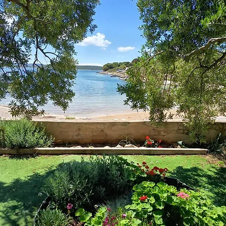 Hébergement de vacances House Roko *