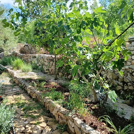 Hébergement de vacances House Roko *