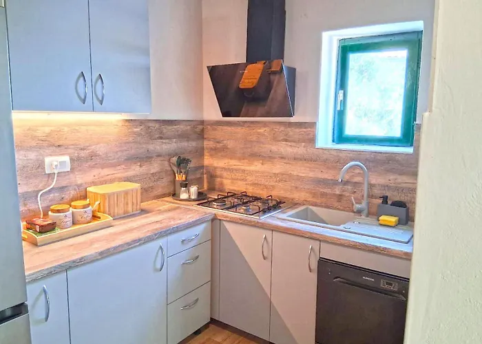 House Roko * Ткон