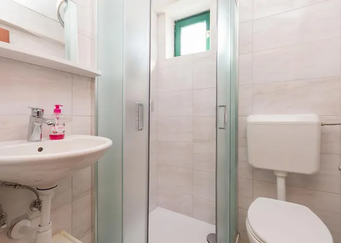 House Roko * تكون