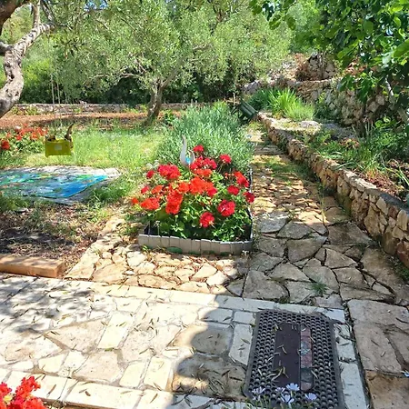 House Roko Nyaraló *