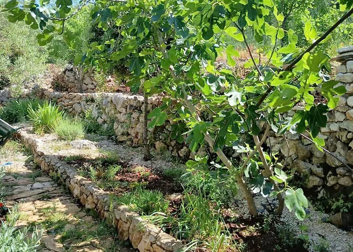 Nyaraló House Roko *